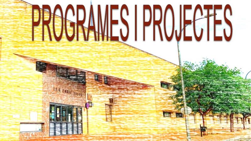 Programes i Projectes